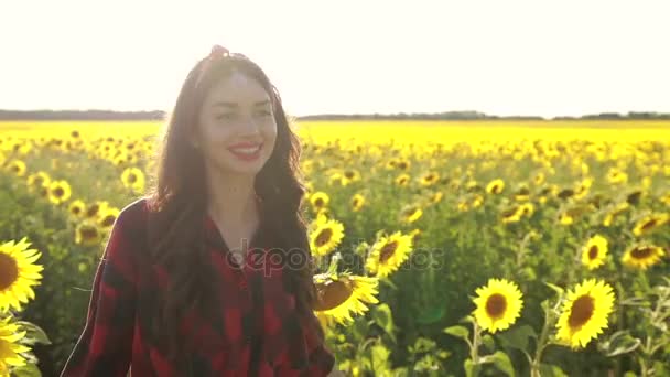 Blij meisje genieten van de zomer in zonnebloem veld — Stockvideo