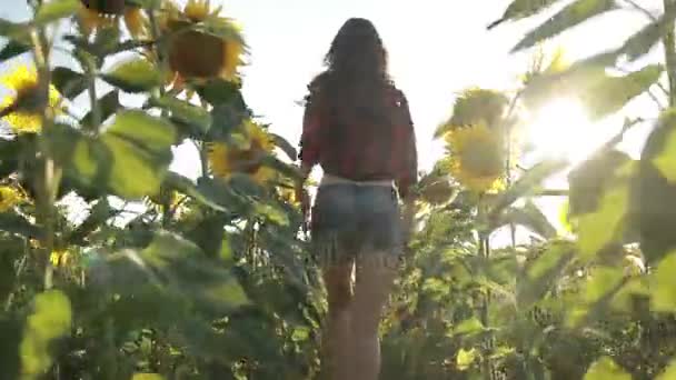 Sexy giovane donna in esecuzione attraverso il campo di girasole — Video Stock