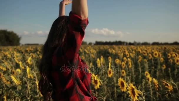Frau mit erhobenen Armen entspannt im Sonnenblumenfeld — Stockvideo