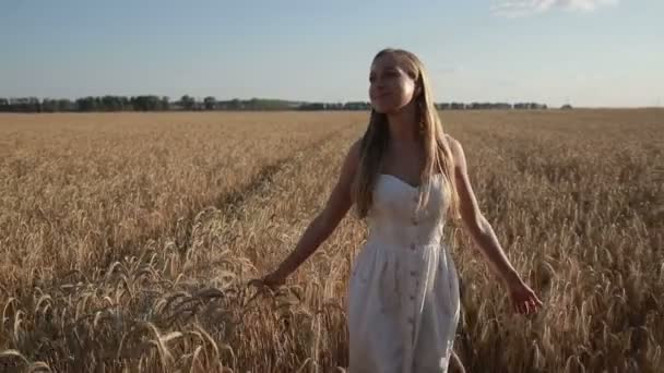 Mulher muito sorridente relaxante no campo de trigo — Vídeo de Stock