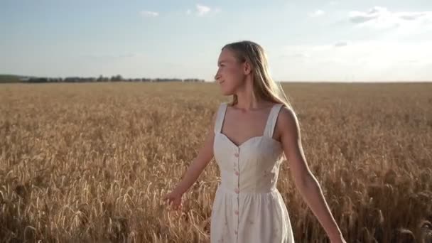 Selig schöne Frau zu Fuß in Getreidefeld — Stockvideo