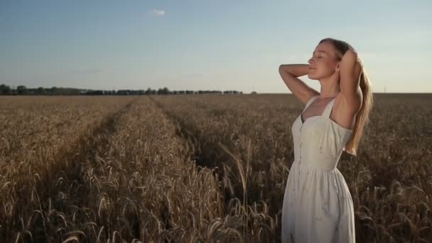 Adorable chica jugando con el pelo en el campo de cereales — Vídeos de Stock