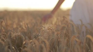 Gün batımında throung buğday alan yürüyen sakin kadın