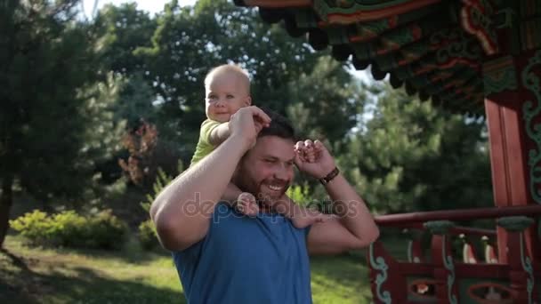 Отец носит милого мальчика на плечах в парке — стоковое видео
