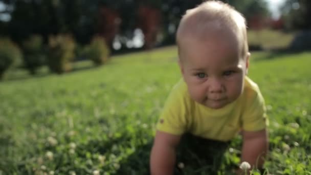 Счастливый малыш ползает по зеленой траве — стоковое видео