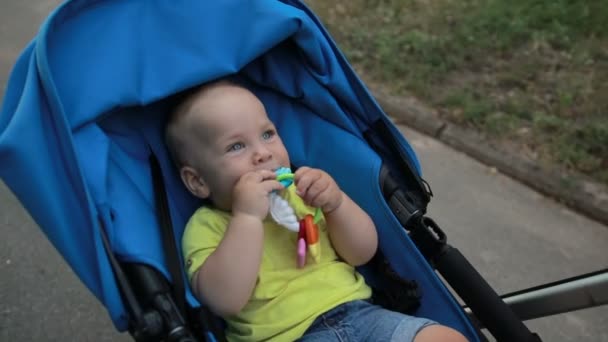 Sorridente bambino bambino seduto in carrozzina all'aperto — Video Stock