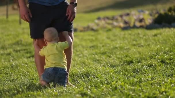 Bambino neonato che cerca di stare in piedi con i padri aiuto — Video Stock