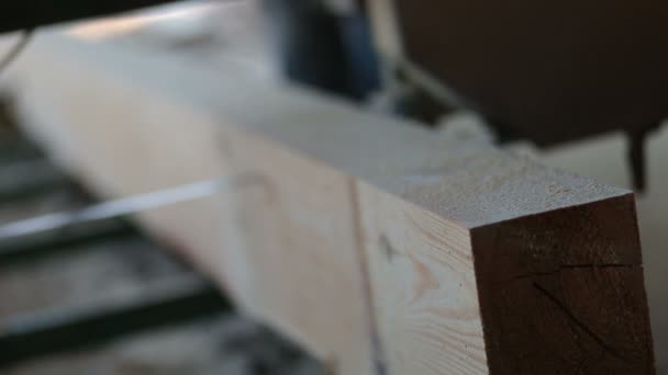 Sierra de cinta industrial que corta madera en tablones — Vídeo de stock