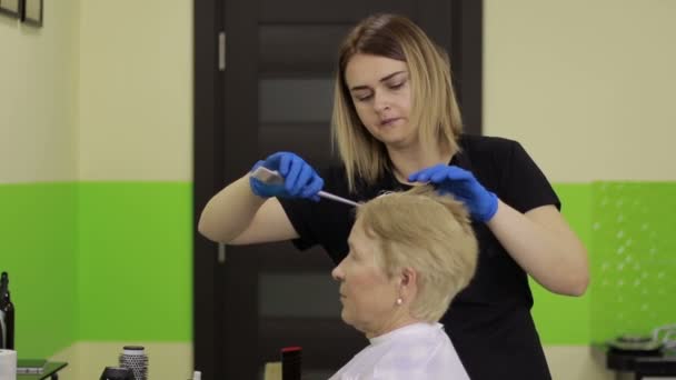 Hairdresser applying color to female customer — Stock Video
