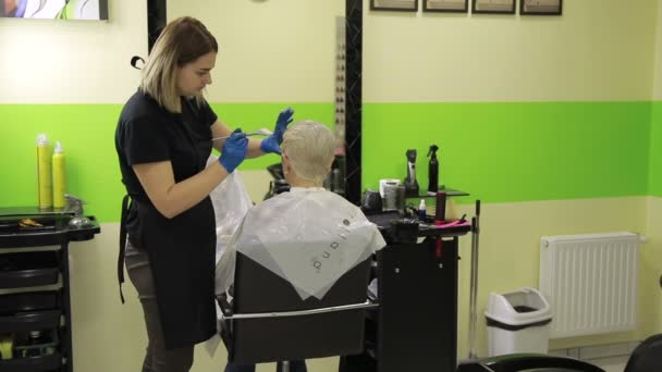 Професійний перукар фарбування волосся свого клієнта — стокове відео