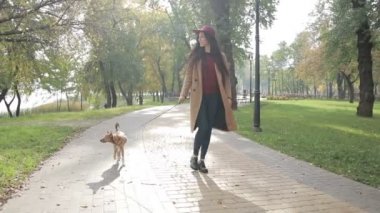 Zarif kadın ile köpek sonbahar parkta yürüyüş