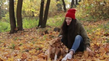 Hipster kadın ve düşen yapraklar ile oynayan köpek