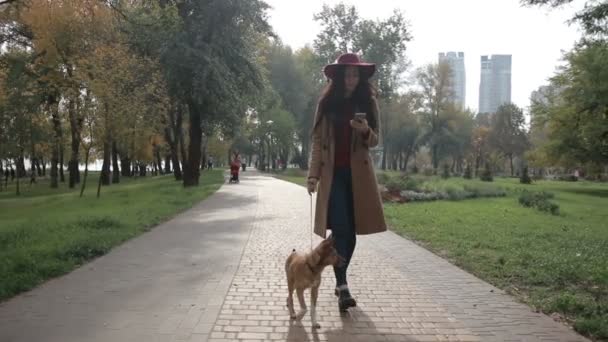 Köpek yürürken telefonda büyüleyici kadın manifatura — Stok video