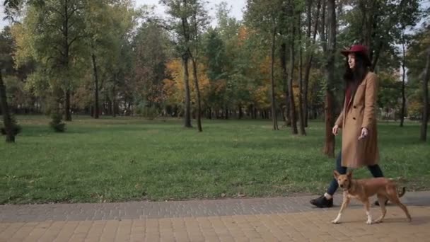 Frau geht mit Hund im Herbstpark spazieren — Stockvideo