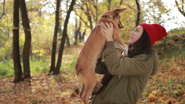 Hermosa chica hipster sosteniendo perro en el parque de otoño — Vídeos de Stock