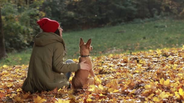 Mujer encantadora y su perro posando en el parque de otoño — Vídeos de Stock