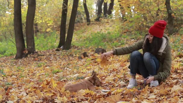 Женщина с собакой играют в осеннем парке — стоковое видео