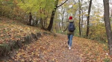 Son moda hippi kız köpek sonbahar parkta yürüyüş