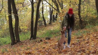 Köpek ve kadın sahibi sonbahar parkta oynarken