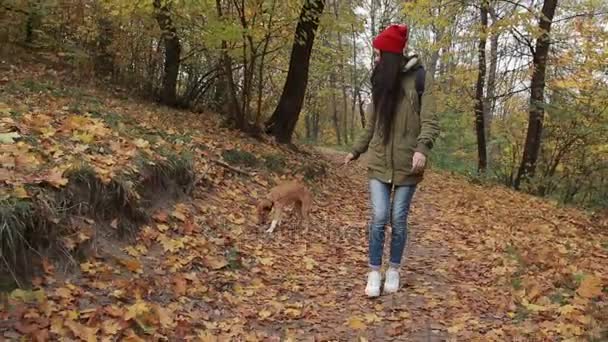 Bella donna godendo a piedi con la sua dop nella foresta — Video Stock