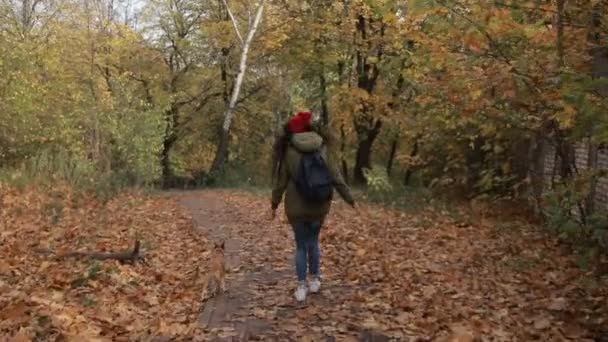 Радостная девушка с собакой бегает в осеннем парке — стоковое видео