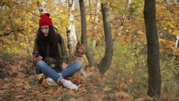 Девушка с собакой в сети по телефону в парке — стоковое видео