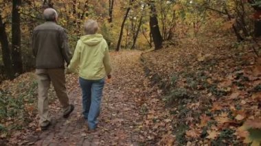 Üst düzey çift sonbahar Park romantik yürüyüş sahiptir