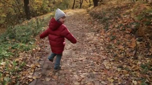 Маленький маленький хлопчик біжить в барвистому осінньому парку — стокове відео