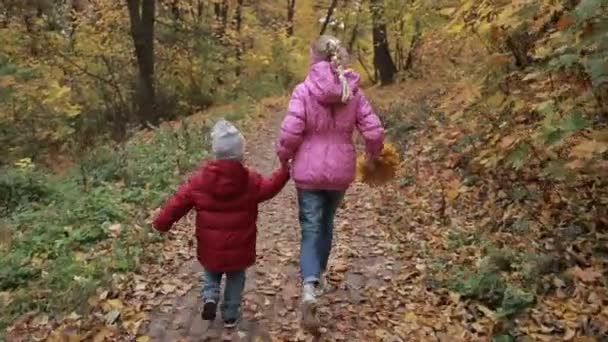 无忧无虑的兄弟姐妹在秋季公园奔跑 — 图库视频影像