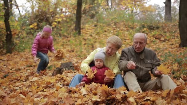 Семья из четырех человек осенью наслаждается золотыми листьями — стоковое видео