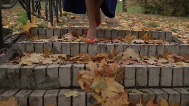 Frauenbeine in Absätzen treten im Herbst die Treppe hinunter — Stockvideo