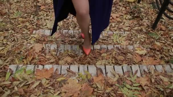 Сексуальные женские ноги на высоких каблуках поднимаются по лестнице — стоковое видео