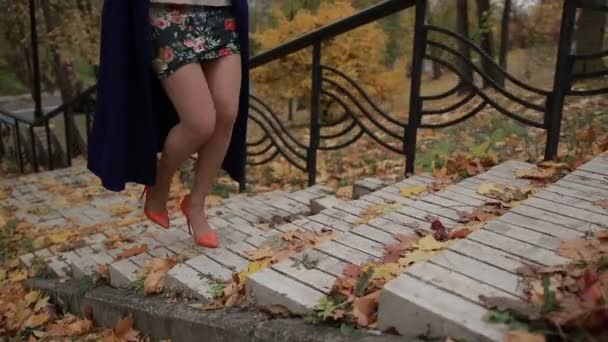 Womans legs in high heels stepping up the stairs — Stock Video