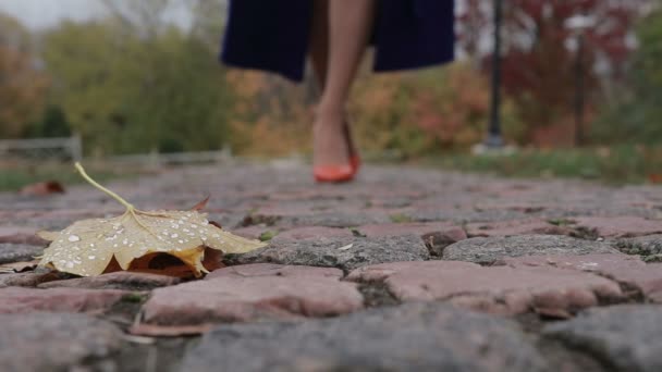 Mujer en tacones altos caminando por la calle en otoño — Vídeos de Stock