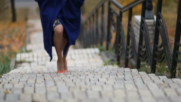 Mujer de negocios subiendo las escaleras en la escalera — Vídeos de Stock