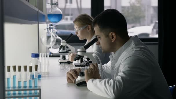 Jóvenes científicos estudiando sustancias en el microscopio — Vídeos de Stock