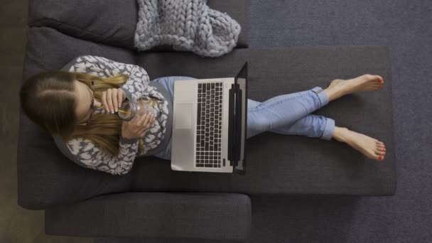 Top view female freelancer with laptop on sofa — Stock Video