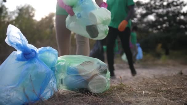 Szemeteszsákok gyűjteménye összegyűjtött műanyag hulladékkal — Stock videók