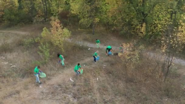 Drónfelvétel különböző aktivistákról, akik szemetet gyűjtenek. — Stock videók