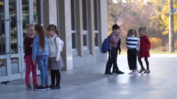 Estudiantes de primaria pasan tiempo libre al aire libre — Vídeo de stock