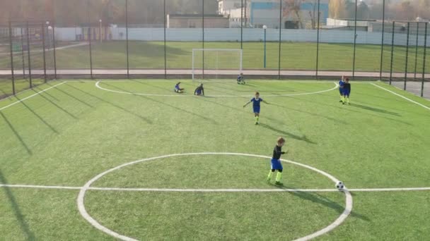 Flygfoto bild av ung fotboll framåt scoring mål — Stockvideo