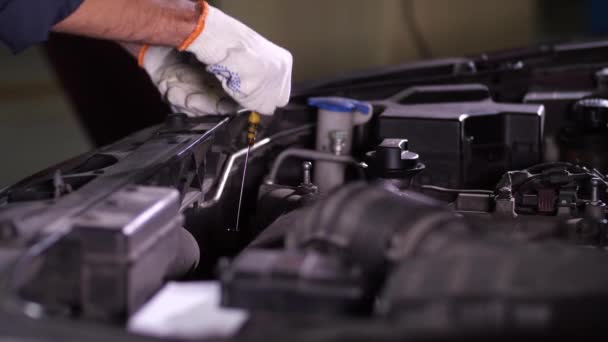 Reparadores mãos durante a verificação do nível do óleo do motor — Vídeo de Stock