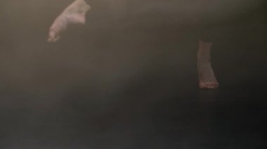 Barefoot artist performing contemp dance at dusk