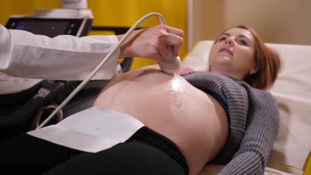 Jeune femme enceinte en échographie à la clinique — Video