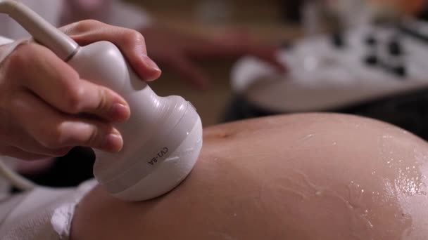 Ultrason taraması sırasında hamile bir kadının koca göbeği. — Stok video