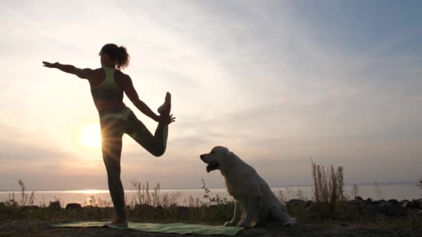 Atleta femenina adulta durante el entrenamiento de yoga en la naturaleza — Vídeos de Stock