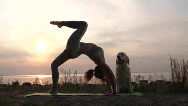 Sportieve vrouw doet bridge pose tijdens yoga workout — Stockvideo