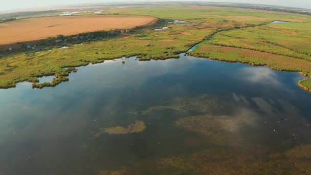 Drone vista de la llanura inundable entre la vegetación verde — Vídeos de Stock