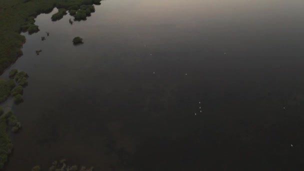 Vol par drone au-dessus de la plaine inondable jusqu'à la côte au crépuscule — Video