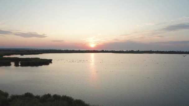 Vista de drones del humedal en el parque nacional al atardecer — Vídeos de Stock